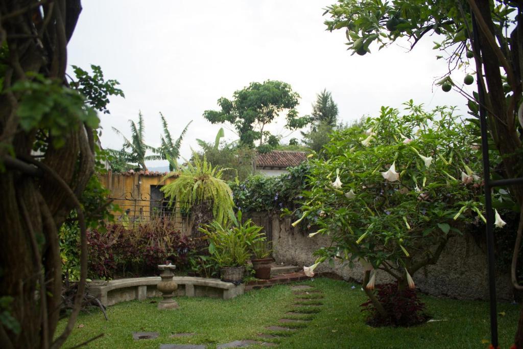 La Casa De Don Pedro Antigua Exterior foto